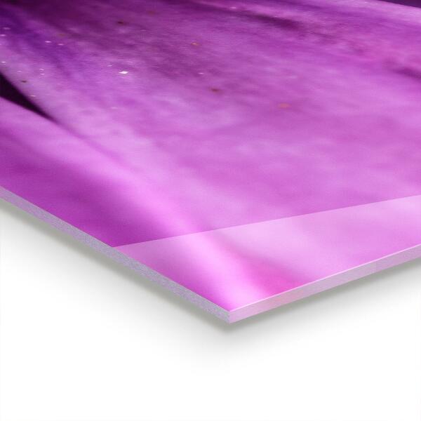 Painel para cozinha Textura delicada de folhas