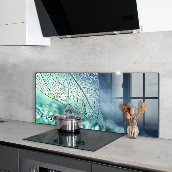 Backsplash cozinha Planta de Aloe Vera