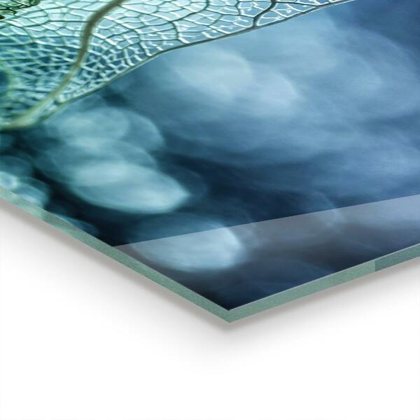 Backsplash cozinha Planta de Aloe Vera