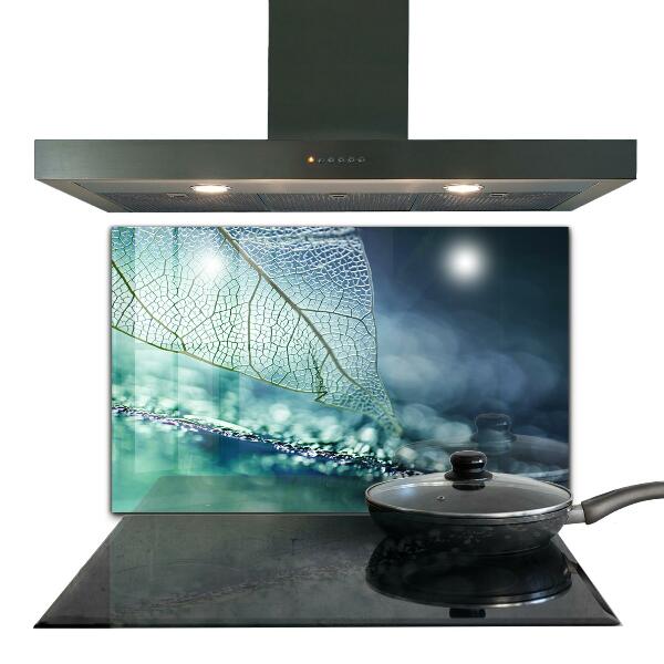 Backsplash cozinha Planta de Aloe Vera