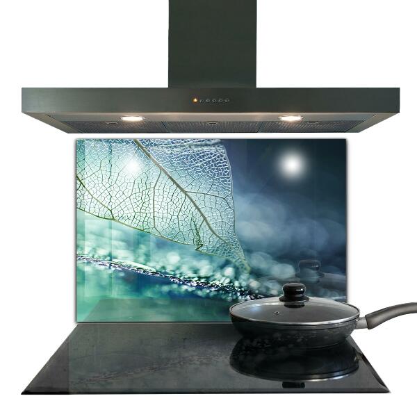 Backsplash cozinha Planta de Aloe Vera