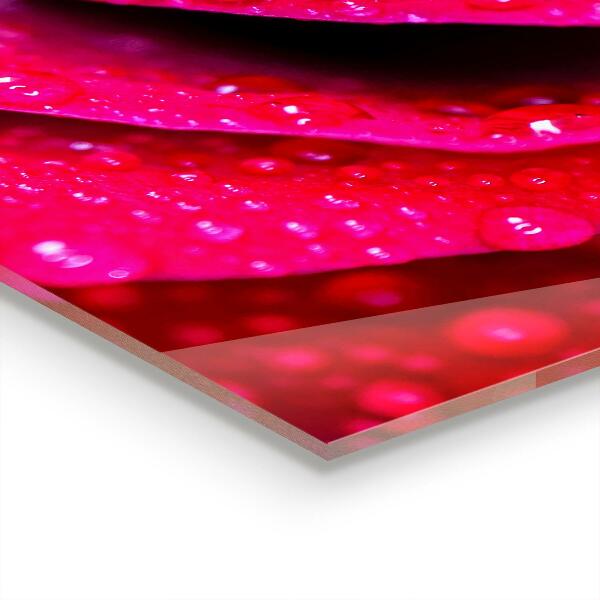 Backsplash cozinha Grãos de madeira naturais