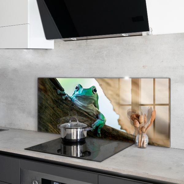 Painel cozinha Sapo curioso em uma folha