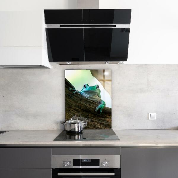 Painel cozinha Sapo curioso em uma folha