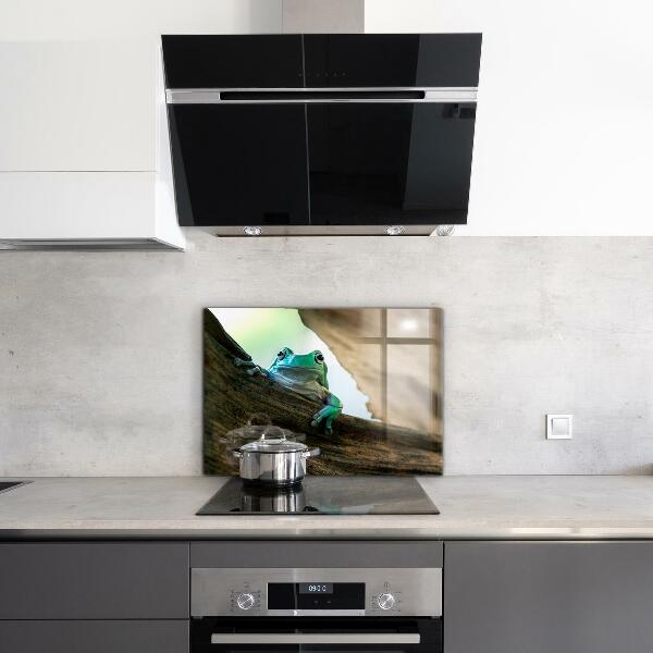 Painel cozinha Sapo curioso em uma folha