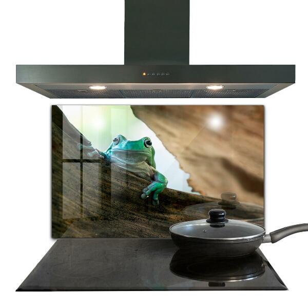 Painel cozinha Sapo curioso em uma folha