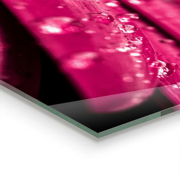 Backsplash cozinha Flor Amarela no Prado