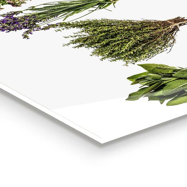 Backsplash cozinha Ervas Secas Poder da Natureza