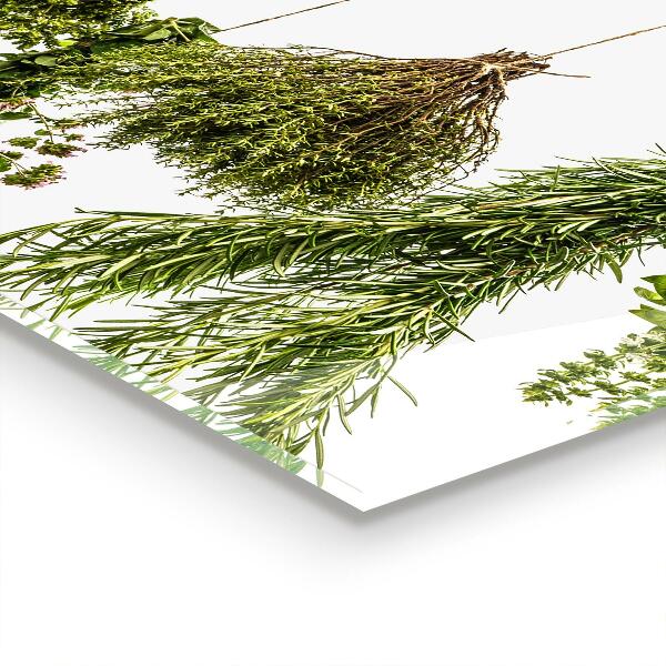 Painel para cozinha Ervas secas Medicina herbal