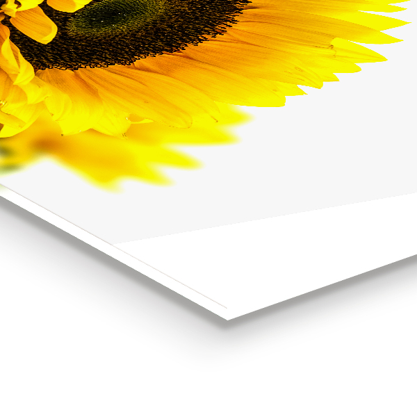 Painel cozinha Foto Gerber em preto e branco