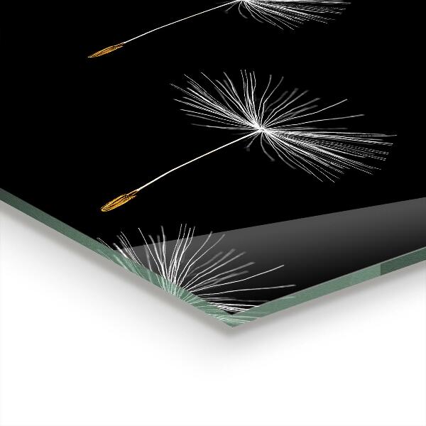 Backsplash cozinha Lindo e delicado dente-de-leão