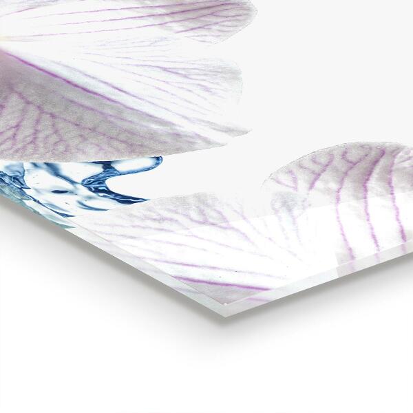 Painel cozinha Flores rosas delicadas