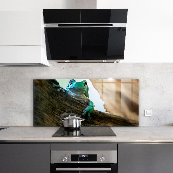 Painel cozinha Retrato de sapo africano