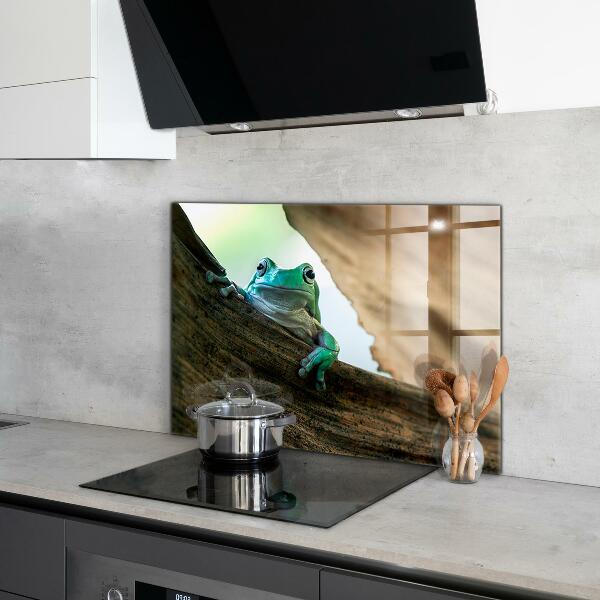 Painel cozinha Retrato de sapo africano
