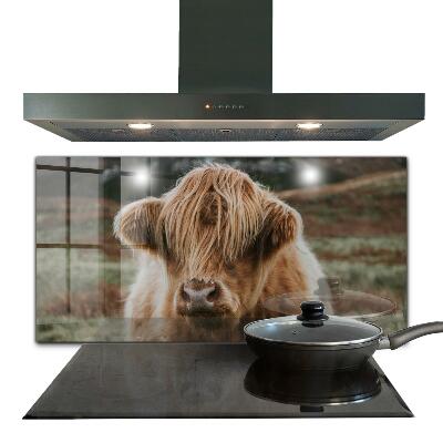 Painel para cozinha Casa de campo estilo Cow Highland