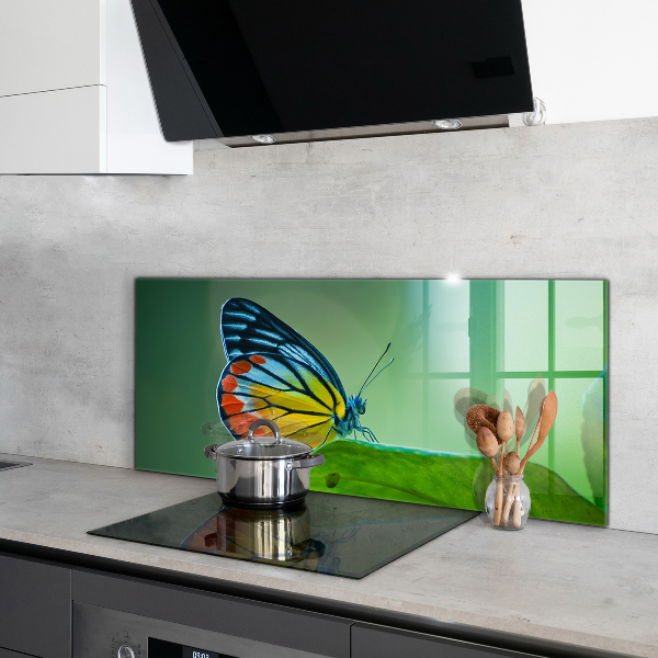 Painel para cozinha Borboleta descansando em uma folha