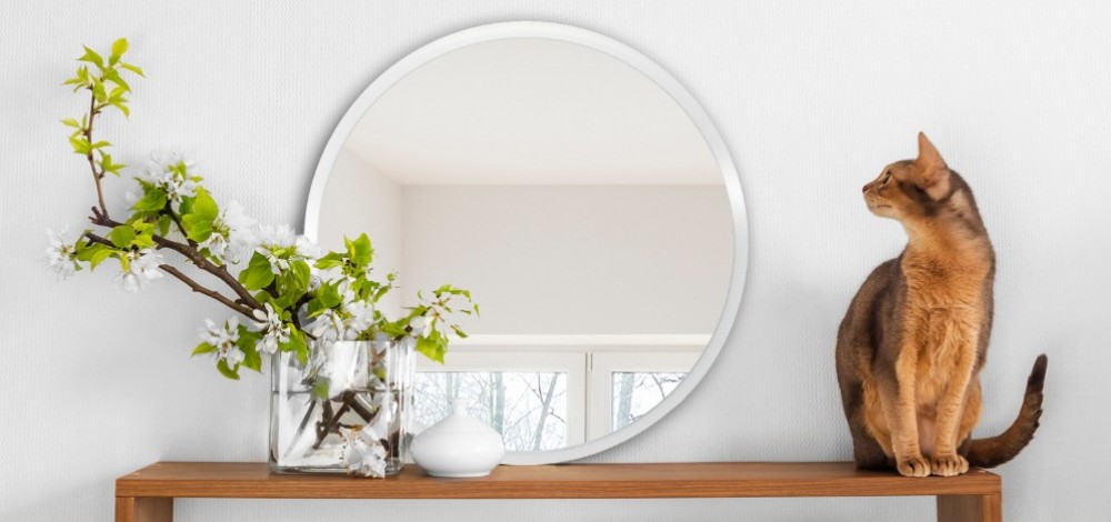 como colocar um espelho para dar estilo à sua casa1